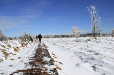 Winter: Hohes Venn im Schnee