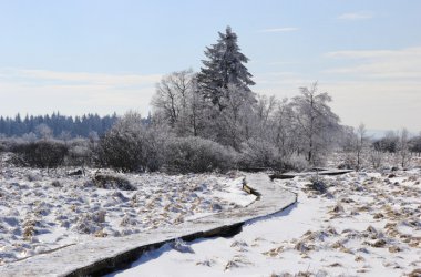 Winter: Hohes Venn im Schnee