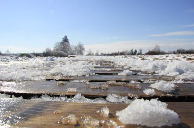 Winter: Hohes Venn im Schnee