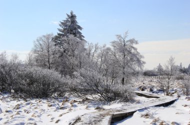 Winter: Hohes Venn im Schnee