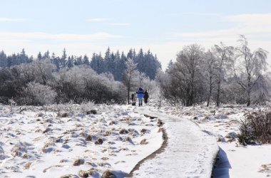 Winter: Hohes Venn im Schnee