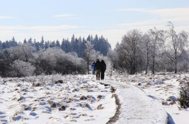 Winter: Hohes Venn im Schnee