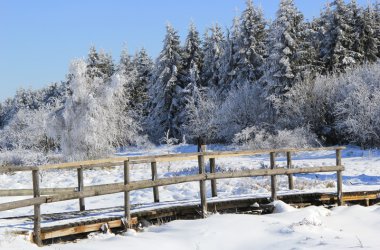 Winter: Hohes Venn im Schnee