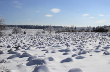 Winter: Hohes Venn im Schnee