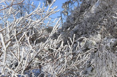 Winter: Hohes Venn im Schnee