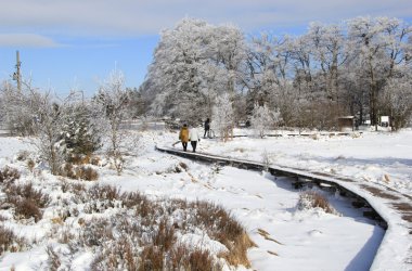 Winter: Hohes Venn im Schnee