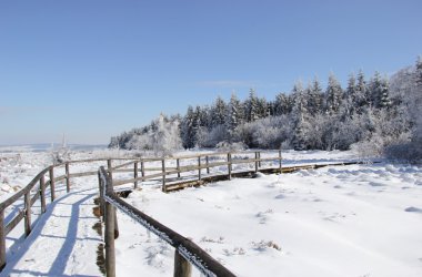 Winter: Hohes Venn im Schnee