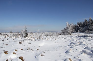 Winter: Hohes Venn im Schnee