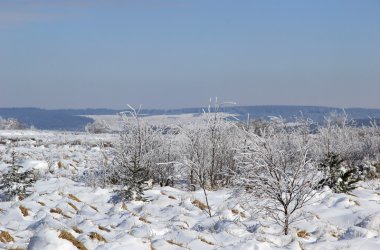 Winter: Hohes Venn im Schnee