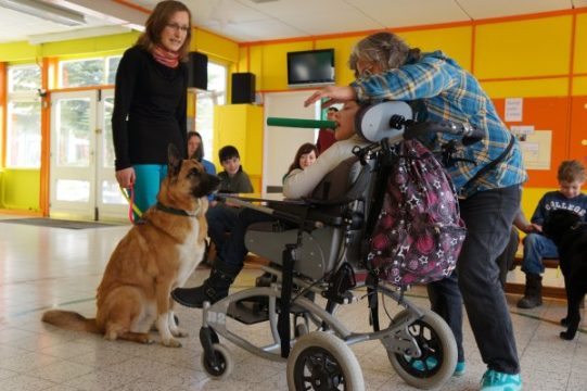 Hundepädagogik: Therapiehunde helfen Kindern mit Behinderung