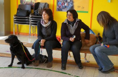 Hundepädagogik: Therapiehunde helfen Kindern mit Behinderung