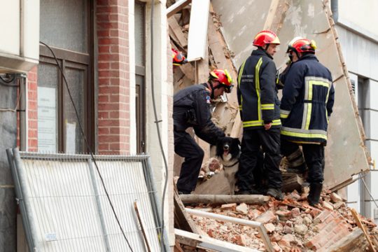 Haus in Löwen eingestürzt - Bergungsarbeiten