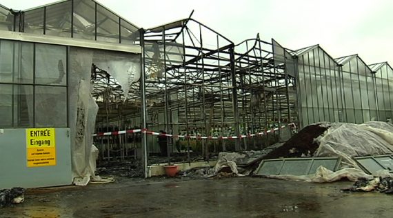 Feuer zerstört Teil des Gartenbaubetriebs Beckert in Baelen