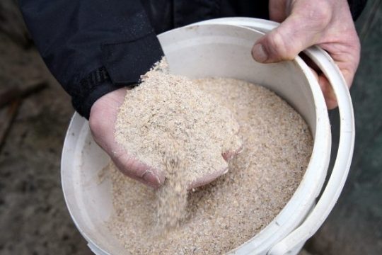 Belgischer Futtermittelhersteller findet Dioxin