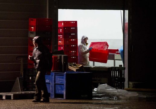 Kontrolleure beschlagnahmen Rindfleisch