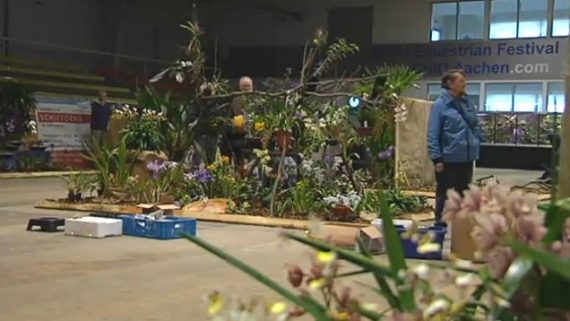 Internationale Orchideenschau in Aachen