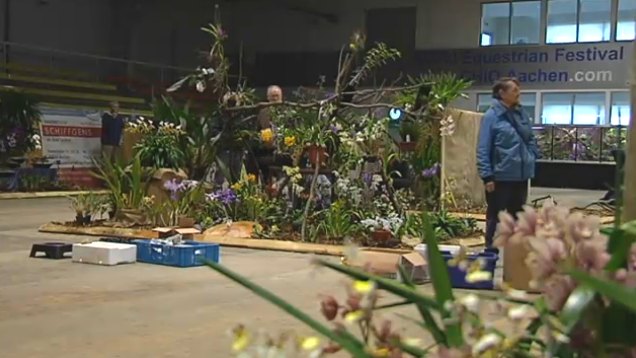 Internationale Orchideenschau in Aachen