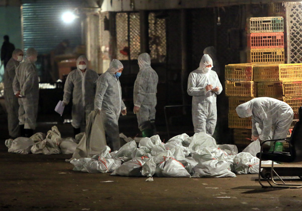 Vogelgrippe-Virus: 20.000 Vögel auf Markt in Shanghai gekeult