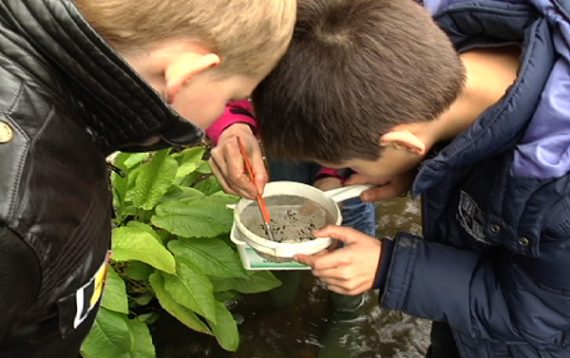"Bach-Beschützer": Wasserschutzprojekt an der Göhl