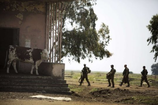 Israelische Infanterie-Soldaten bei einer Übung auf den Golanhöhen