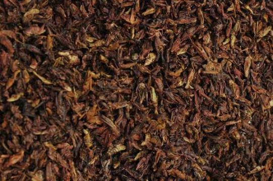 In Mexiko werden Heuschrecken als Delikatesse verkauft