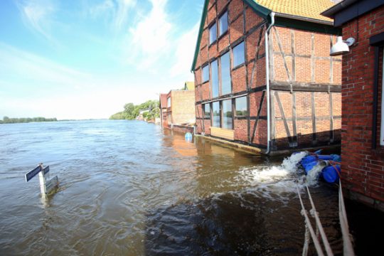 Hochwasser in Lauenburg an der Elbe (15. Juni)