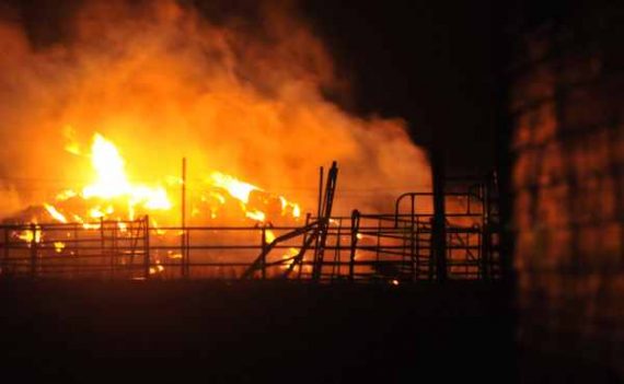 Das Feuer im Black Forest nahe der Ortschaft Colorado Springs wütet immer noch extrem stark - bisher zwei Todesopfer