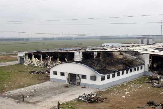 Die zerstörte Geflügelschlachterei der Jilin Baoyuanfeng Poultry Company in der Stadt Dehui