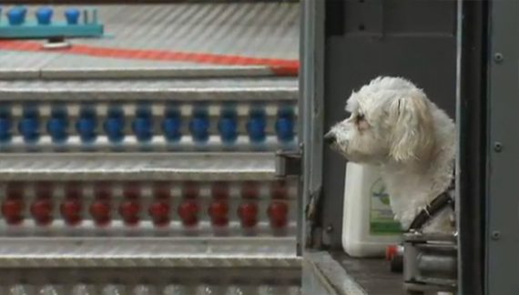 Kirmes-Leben in Eupen