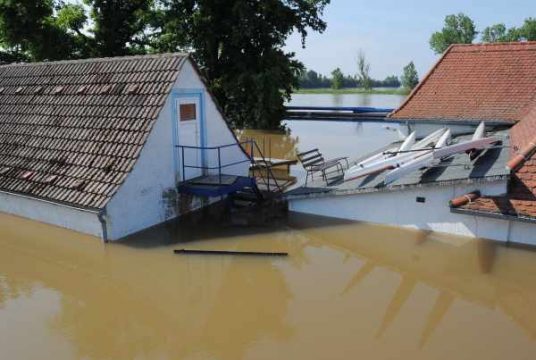 Auch in Mühlberg überflutet die Elbe alles