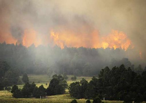 Waldbrand in der Nähe von Colorado Springs (US-Staat Colorado)