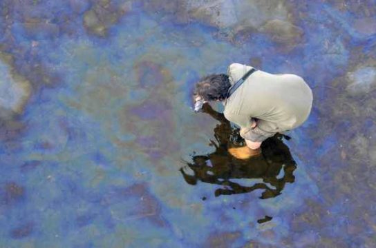 Zugunglück in Kanada: Arbeiter untersucht Öl im Fluss Chaudière