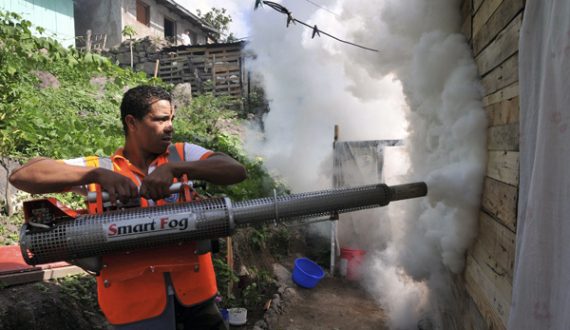 Kampf gegen das Dengue-Fieber