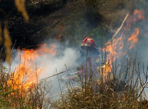 Feuerwehrleute kämpfen gegen einen großen Waldbrand auf Mallorca