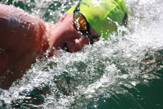 Griseldis Cormann hat Beltquerung vorzeitig abbrechen müssen