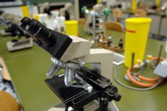 Labor im Tropeninstitut in Antwerpen