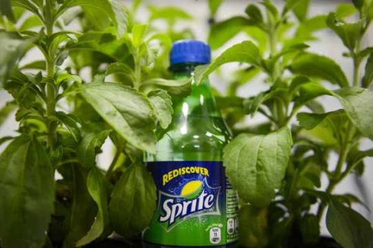 Sprite bald mit dem Süßstoff Stevia erhältlich