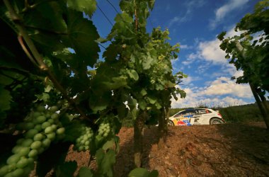 Rallye Deutschland - Bild: Volkswagen Motorsport