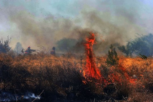 Waldbrand wütet bei Athen