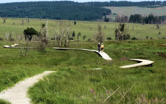 Die Holzstege entlang der Hill sind nach dem verheerenden Brand im Jahr 2011 wieder zugänglich