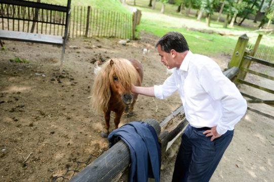CDH-Präsident Benoît Lutgen am Samstag im Tierpark "Pairi Daiza"