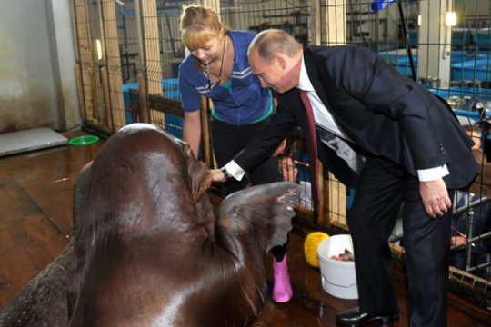 Russlands Präsident Putin pflegt sein Image - ein Bild im Negligé ist aber zu viel