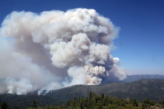 Flächenbrand im Yosemite National Park