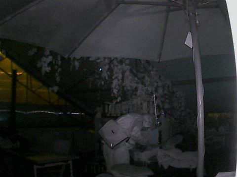 Brand im Gardenforum: Aufnahme des Täters