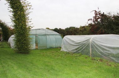 Modellgarten von Work+Job hinter dem Alten Schlachthof