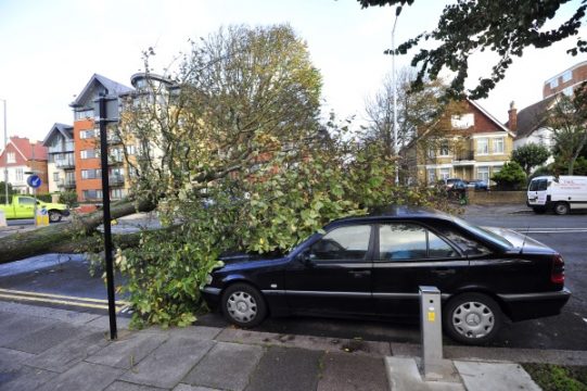 Umbestürzte Bäume gab es auch in Brighton