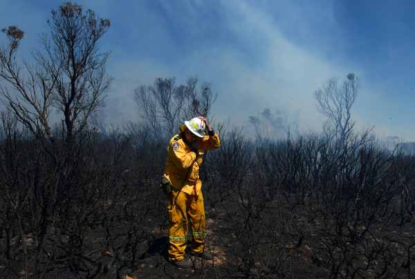 Feuerwehrmann untersucht den Brandschaden in den Blue Mountains
