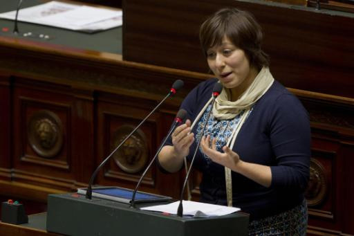 Meyrem Almaci (Groen) will den Finanzminister zur Affäre de Croÿ interpellieren