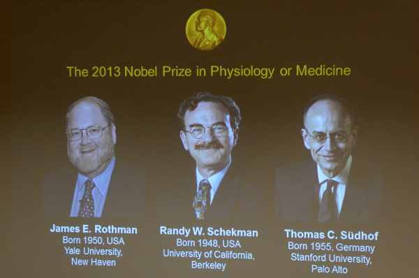 Der Medizin-Nobelpreis 2013 geht an James Rothman, Randy Schekman und Thomas Südhof (vlnr)