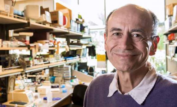 Der Medizin-Nobelpreisträger Thomas Südhof